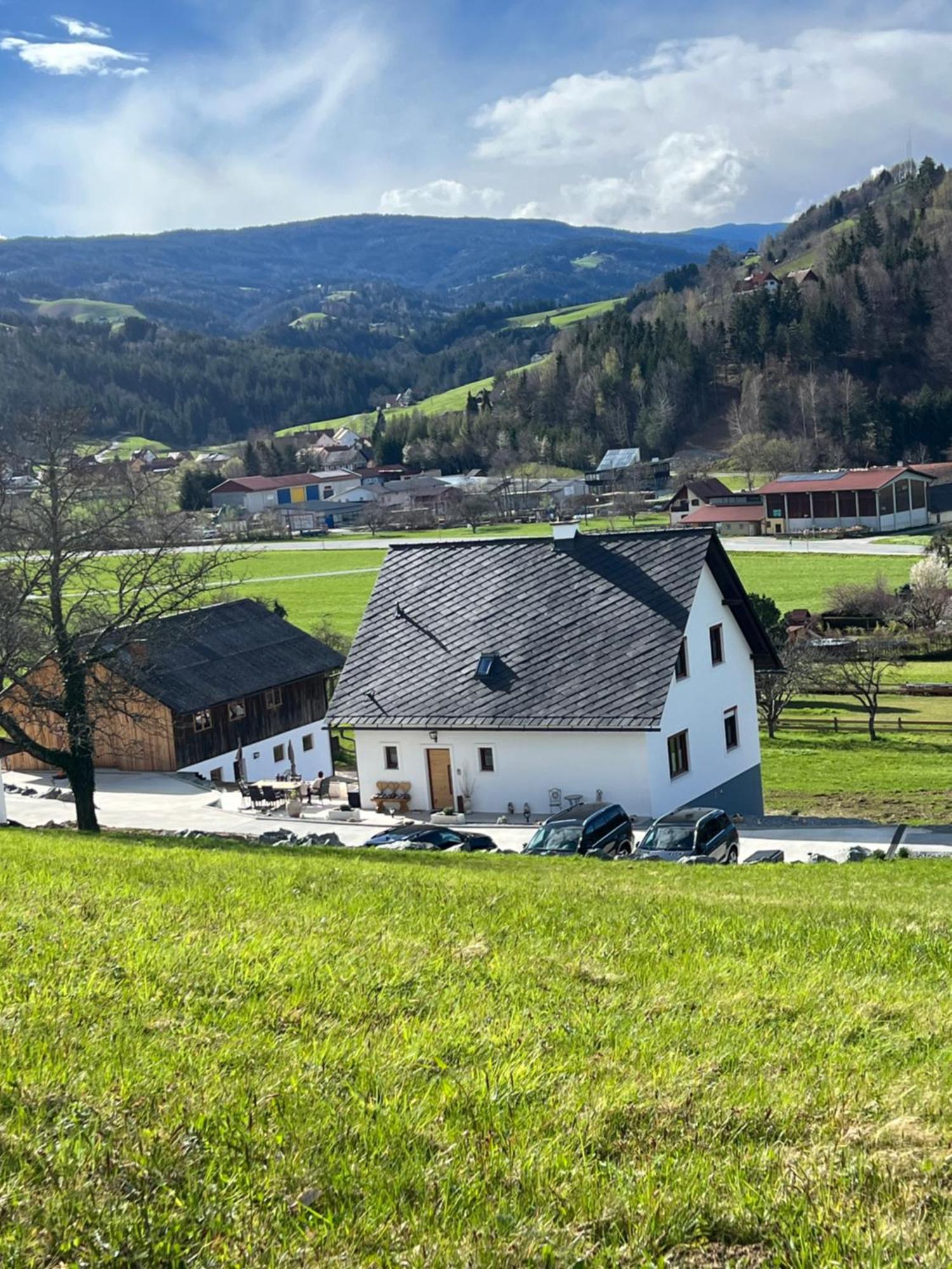 Sonnenschein Appartement- Und Ferienhaus Mit Terrasse Und Garten Eibiswald Экстерьер фото